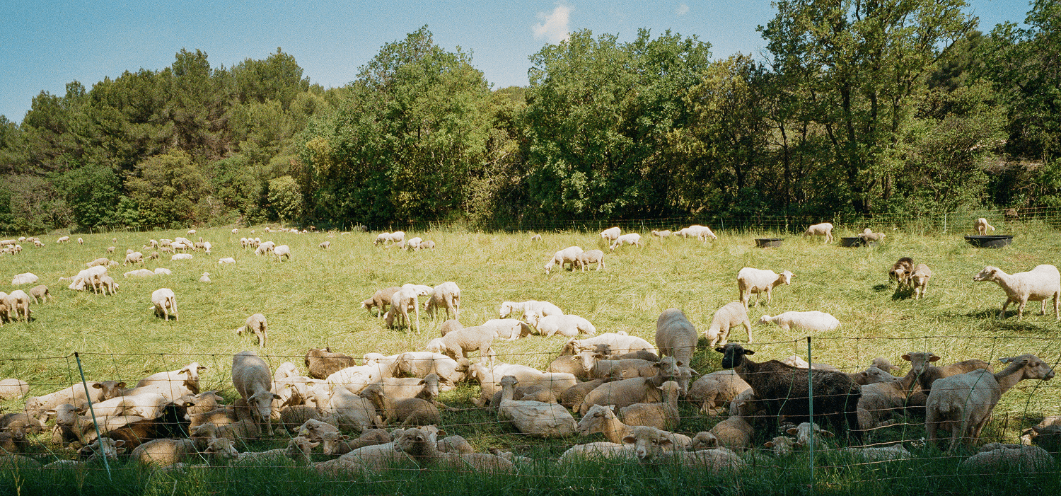 Why Artisan Brands Undercharge (And How to Stop)